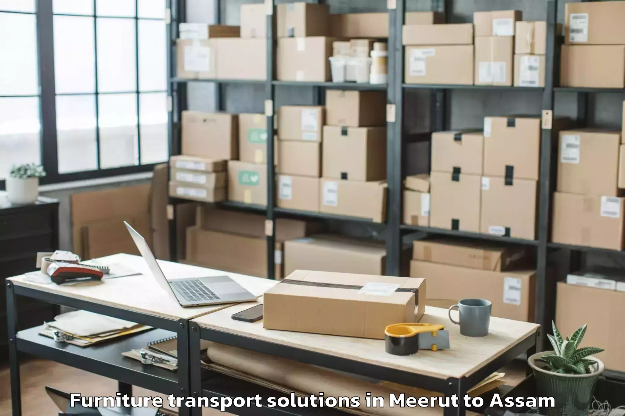 Affordable Meerut to Barpeta Furniture Transport Solutions